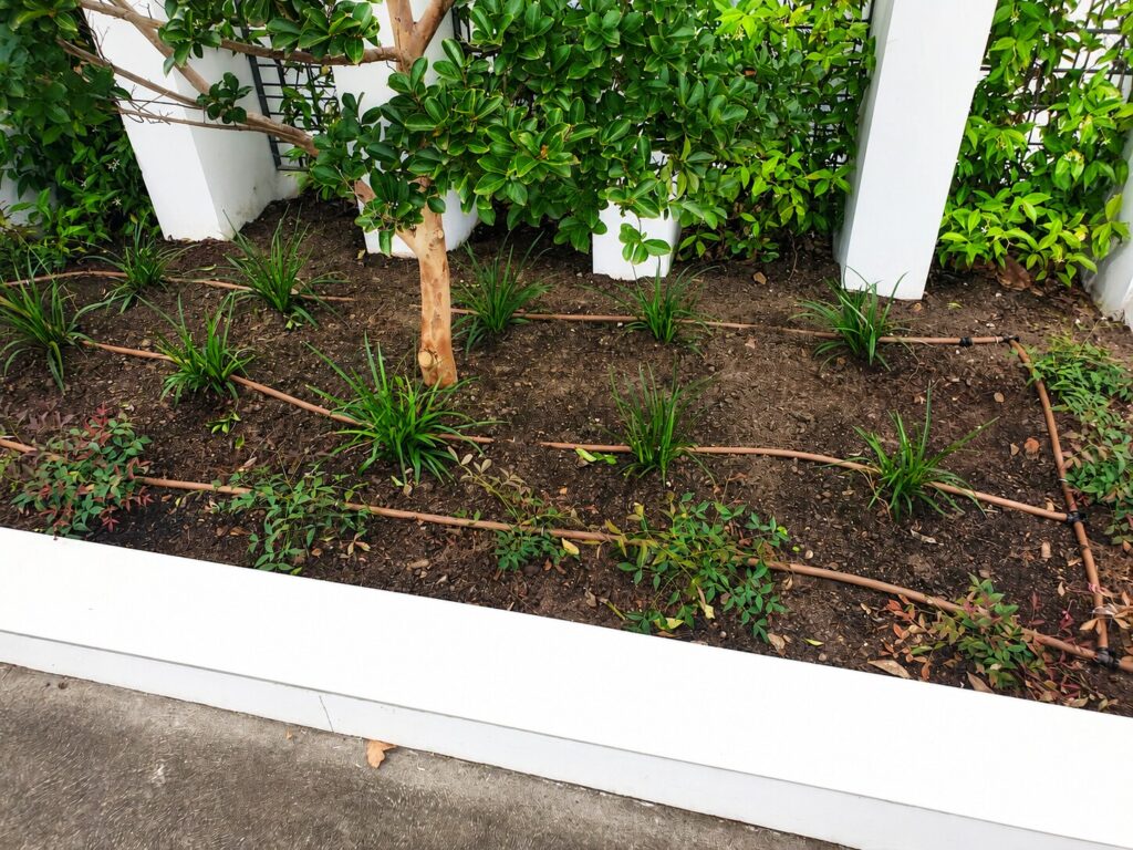 Drip irrigation line through a planted garden bed