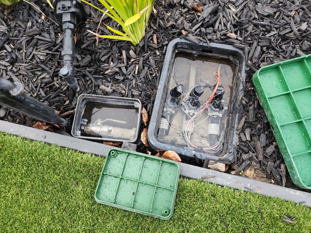 Water collected in irrigation valve boxes during investigation of a watering-system problem